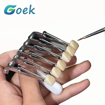 Dental Clipes Para vidros Seis Dentes 304 de Aço Inoxidável com Proteção de Borracha Luva de Laboratório Ferramenta Para Técnico
