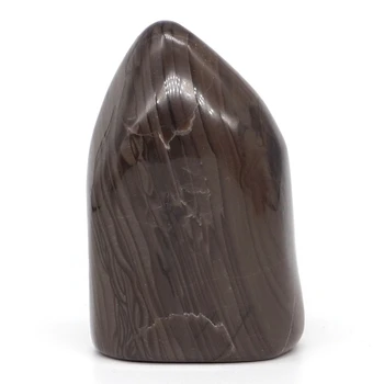 307g pedra preciosa Natural de Café Jasper Palma Pedra de Cristal de Reiki de Cura Rock Amostra do Material da Sala de Casa Decoração Enfeite