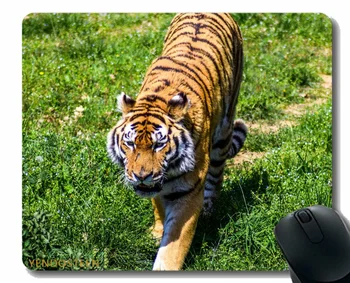 Gaming Mouse Pad Personalizado,Tigre Predador Grama Do Gato Grande 116329 Mouse Pads Com Bordas Costuradas
